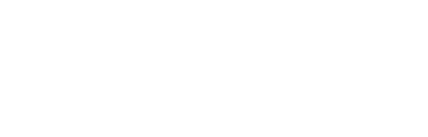 VEZERLEZER white logo